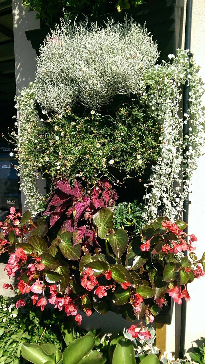 A colorful vertical garden with flowers.
