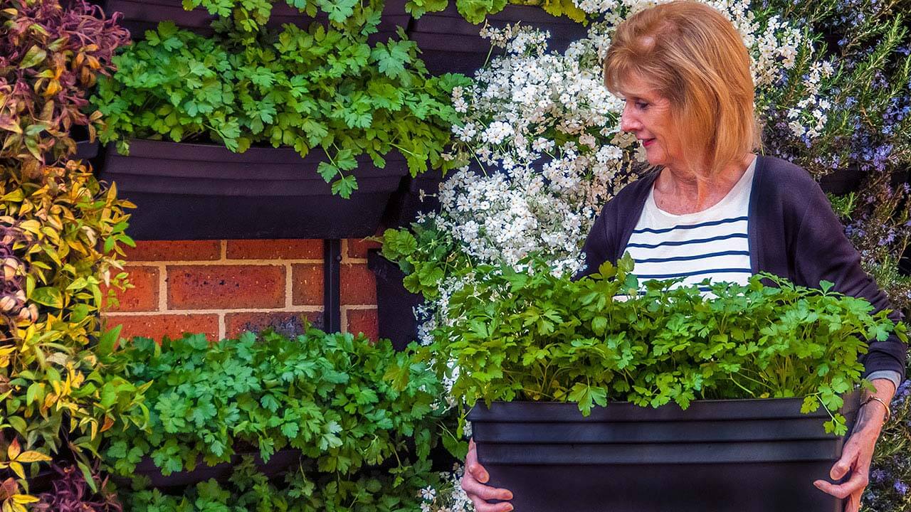 Older woman DIY gardening and installing a wall garden.